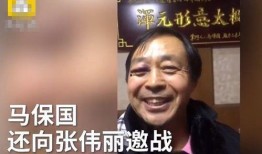 马保国最新爆料视频全集,揭秘武林秘闻与人生百态