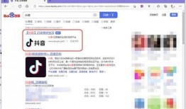 爆料 视频 入口网页版,网页版入口背后的秘密